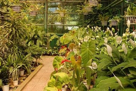 Gradina Botanica din Tulcea